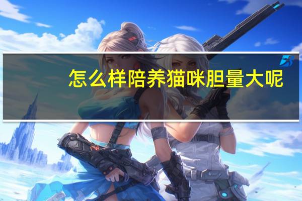怎么样陪养猫咪胆量大呢