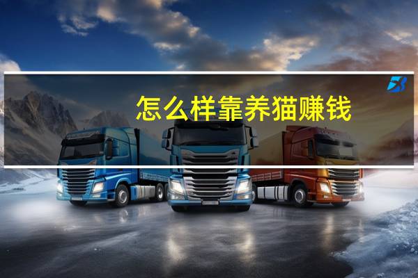 怎么样靠养猫赚钱
