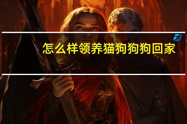 怎么样领养猫狗狗狗回家