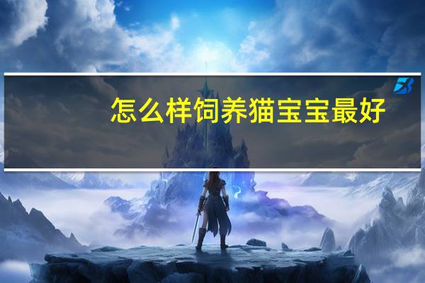 怎么样饲养猫宝宝最好