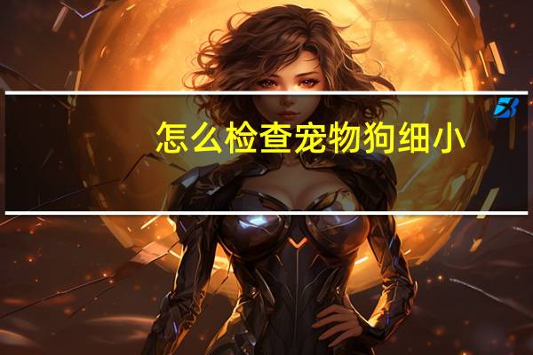 怎么检查宠物狗细小