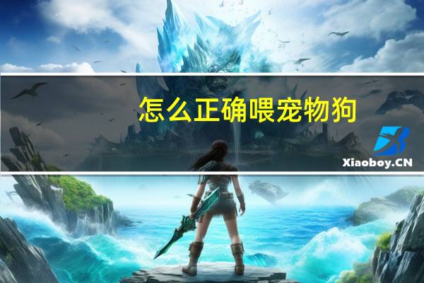 怎么正确喂宠物狗