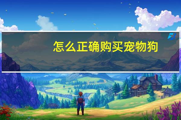 怎么正确购买宠物狗