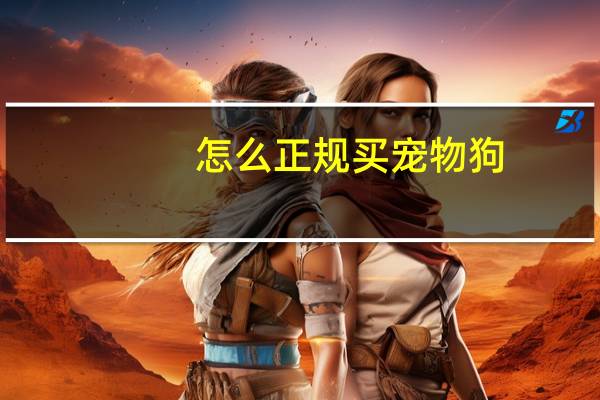 怎么正规买宠物狗