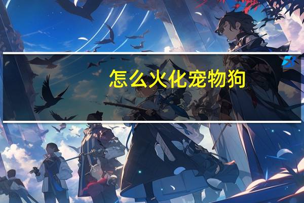 怎么火化宠物狗