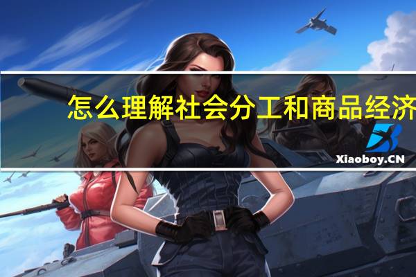 怎么理解社会分工和商品经济