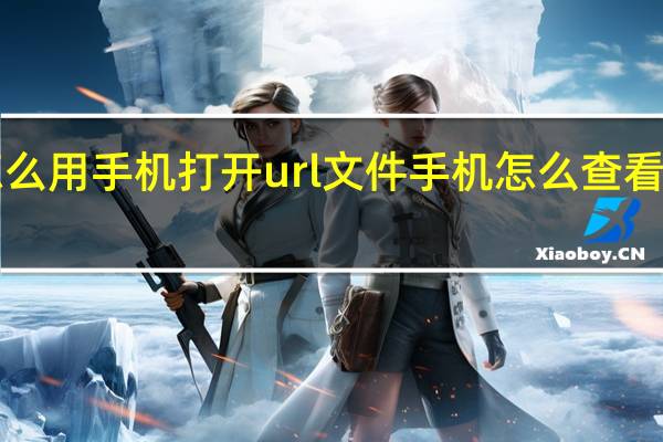 怎么用手机打开url文件 手机怎么查看url文件