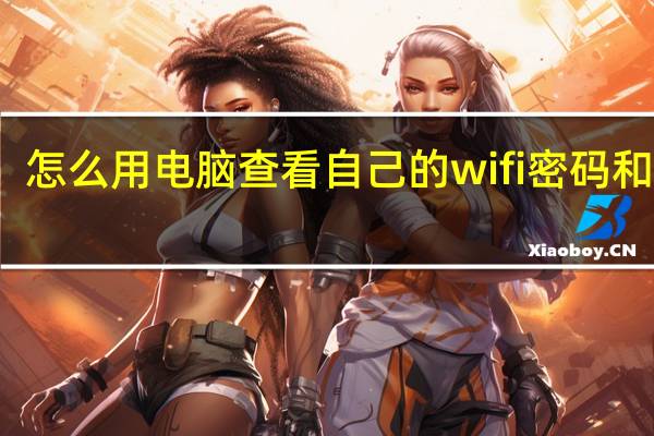 怎么用电脑查看自己的wifi密码和密码