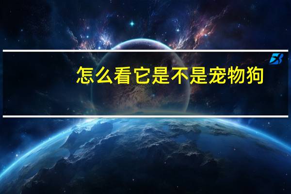 怎么看它是不是宠物狗