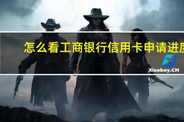 怎么看工商银行信用卡申请进度(如何查询工商银行信用卡申请进度)