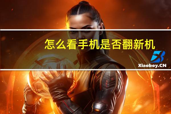 怎么看手机是否翻新机(翻新机怎么看)