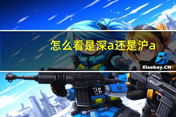 怎么看是深a还是沪a（请问各位什么是深a和沪a?怎么看?）