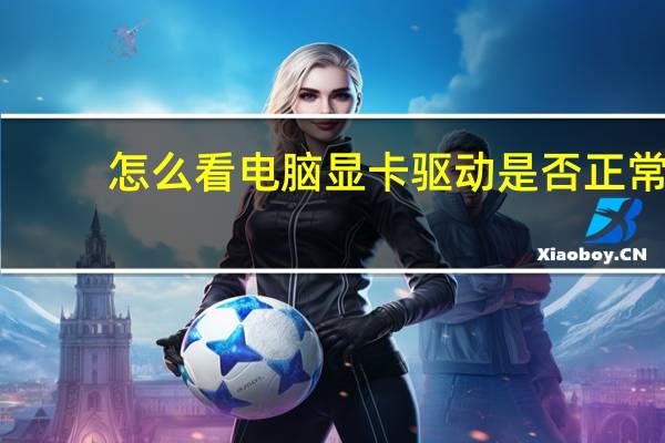 怎么看电脑显卡驱动是否正常（怎么看电脑显卡）