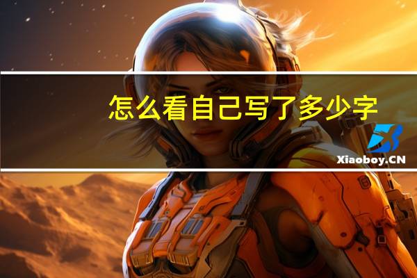 怎么看自己写了多少字