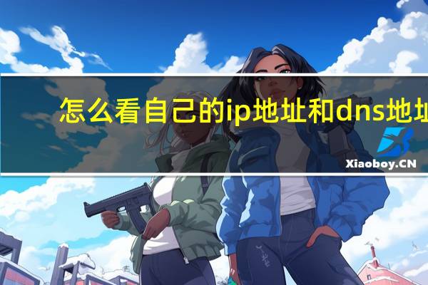 怎么看自己的ip地址和dns地址（怎么看自己的ip地址）