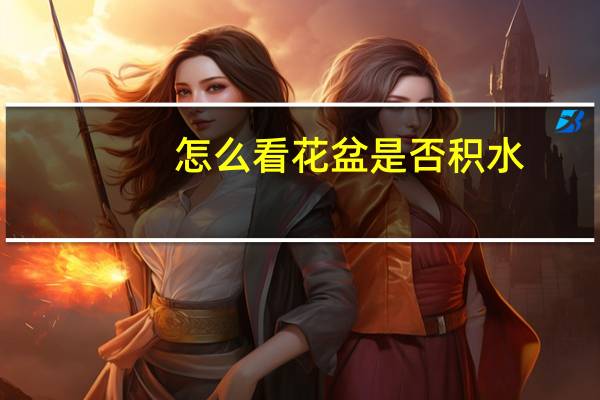 怎么看花盆是否积水