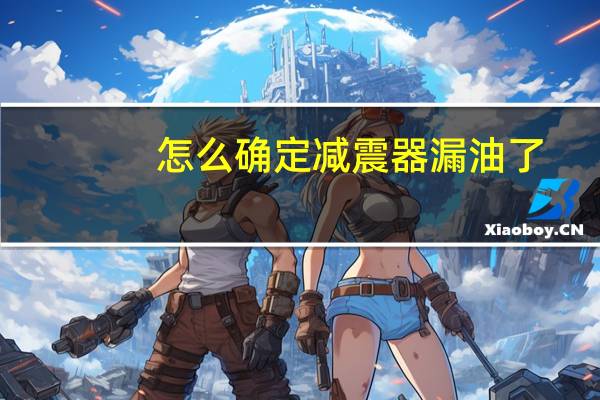 怎么确定减震器漏油了