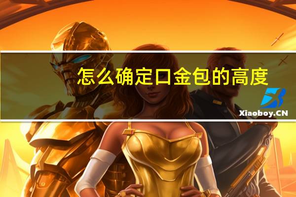 怎么确定口金包的高度