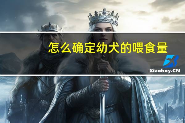怎么确定幼犬的喂食量