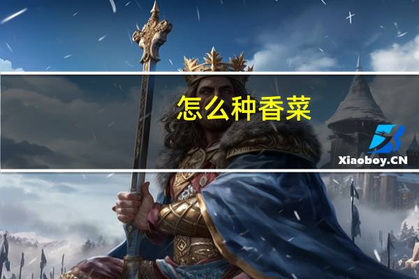 怎么种香菜