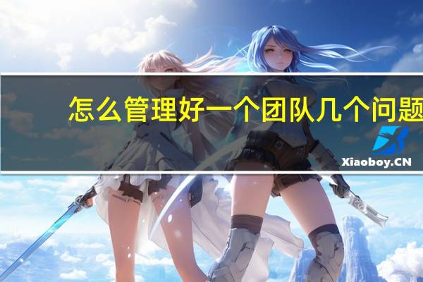 怎么管理好一个团队几个问题（怎么管理好一个团队）