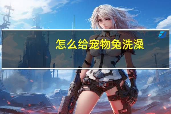 怎么给宠物兔洗澡