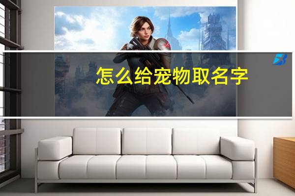 怎么给宠物取名字
