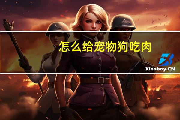 怎么给宠物狗吃肉