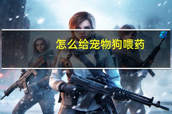 怎么给宠物狗喂药