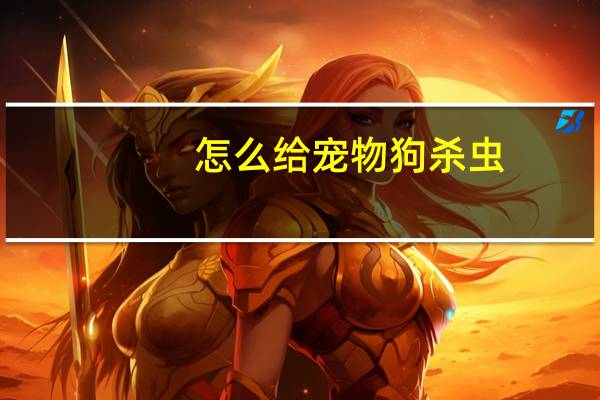 怎么给宠物狗杀虫