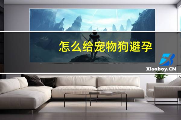 怎么给宠物狗避孕