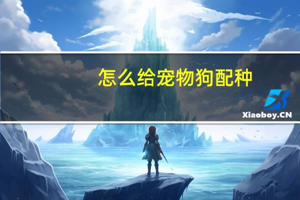 怎么给宠物狗配种