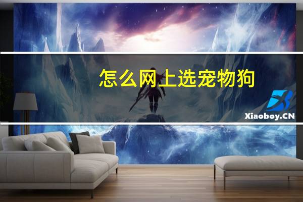 怎么网上选宠物狗