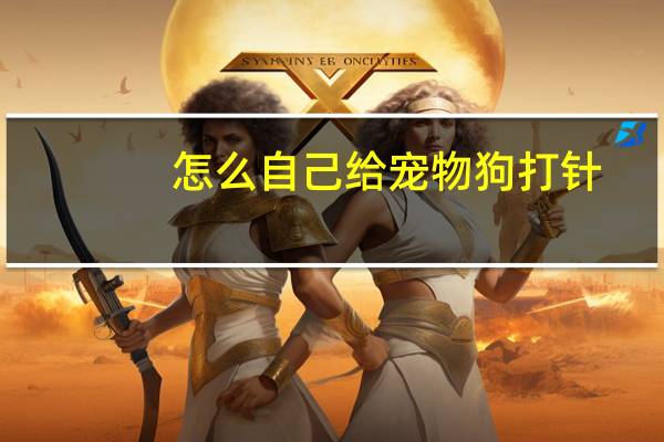 怎么自己给宠物狗打针