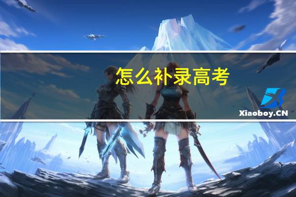 怎么补录高考