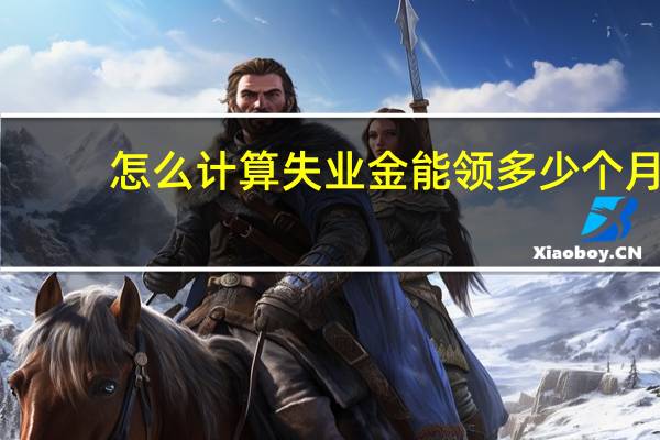 怎么计算失业金能领多少个月（失业金怎么算领几个月）