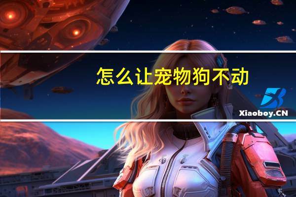 怎么让宠物狗不动