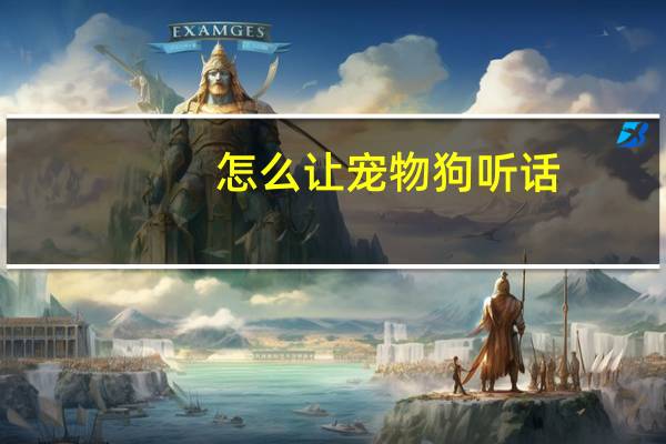 怎么让宠物狗听话