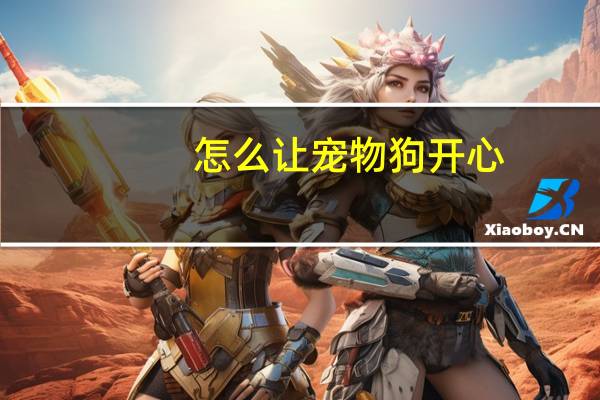 怎么让宠物狗开心
