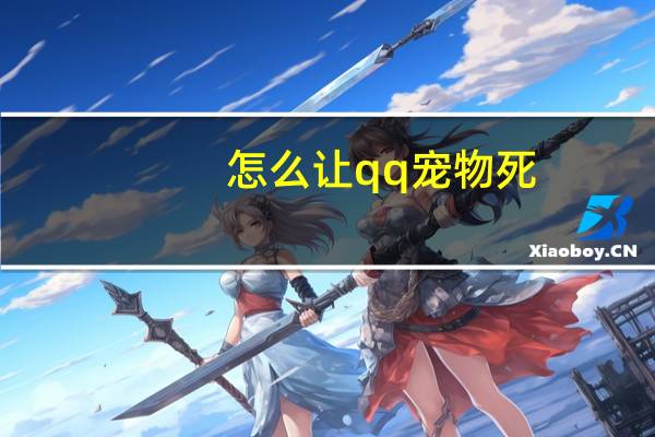 怎么让qq宠物死