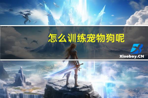 怎么训练宠物狗呢
