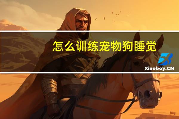 怎么训练宠物狗睡觉
