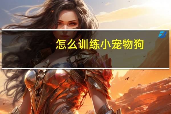 怎么训练小宠物狗