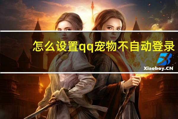 怎么设置qq宠物不自动登录