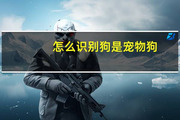 怎么识别狗是宠物狗