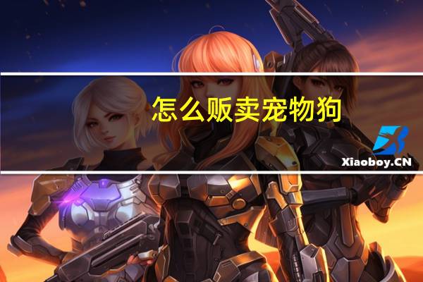 怎么贩卖宠物狗