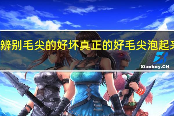 怎么辨别毛尖的好坏 真正的好毛尖泡起来是怎样的