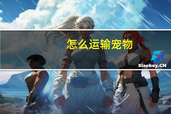 怎么运输宠物