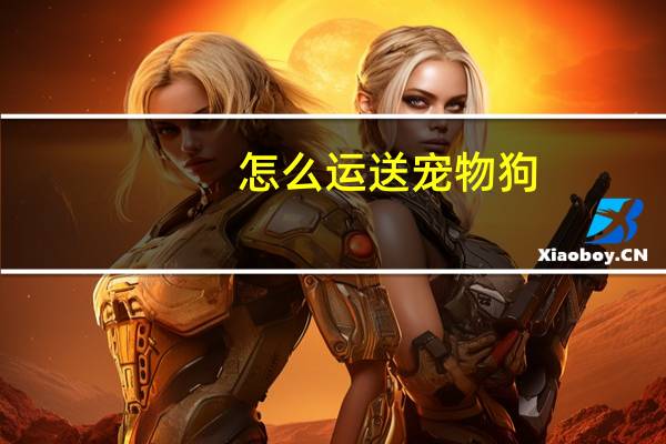 怎么运送宠物狗