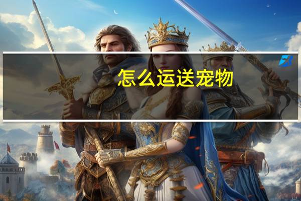 怎么运送宠物